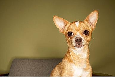 《生化危机4：重制版》Xbox预载开启 需要67GB空间